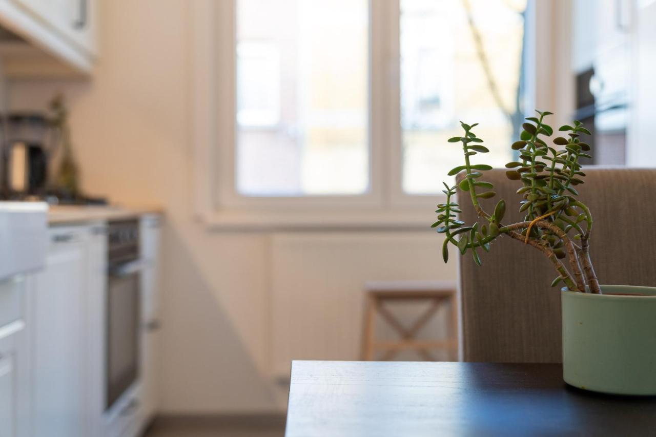 Large Room In House W Shared Kitchen & Bathroom W Free Parking Bluecard Antwerpen Eksteriør bilde
